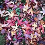 Tracey Pateman - @traceypateman64 - Instagram
