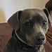 Tracey Pepper - Facebook