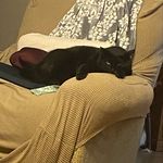 Tracey Pepper - @traceysjourney - Instagram
