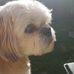 Tracy Pepper - Facebook