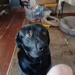 Tracey Perry - Facebook
