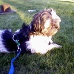 Tracey Peters - Facebook