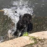 Tracey Peters - @traceypeters2 - Instagram