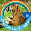 Tracey Peters - @tracey.peters8 - TikTok