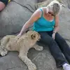 Tracey Peters - @tracey.peters47 - TikTok