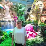 Tracie Peters Bellisle - Facebook