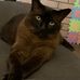 Tracey Pickering - Facebook