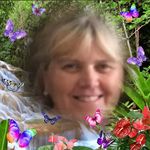 Tracey Pickering - @traceypick64 - Instagram