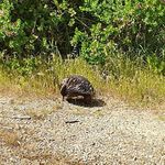 Tracey Pitts - @trakker56 - Instagram