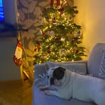 Tracey Platt - @traceyp1012 - Instagram