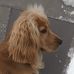 Tracey Platt - Facebook