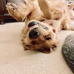 Tracey Platt - @tracey.platt.391 - Instagram
