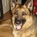 Tracey Platt - Facebook