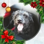 Tracey Plummer - Facebook