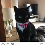 Tracey Plummer - @plummer_tracey - Instagram