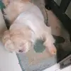 Tracy Ramos - @tracy.ramos23 - TikTok