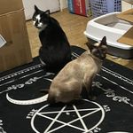 Tracey Louise Wills-randle - @willsrandle - Instagram