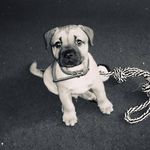 Tracey Louise Wills-randle - @crazytracey006 - Instagram