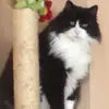 Tracey Ray - @tracey.ray5 - TikTok