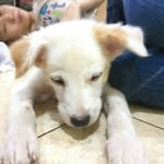 Tracey Ray Gunawan - @tracey.raiiy - Instagram