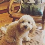 Tracey Read - @traceyread - Instagram