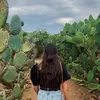 Tracey Reeders255 - @tracey.reeders - TikTok
