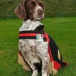 Tracey Richards - @traceyrichards1710 - Instagram