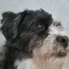 Tracey Richards - @tracey.richards169 - TikTok