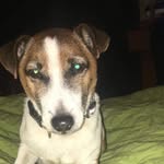 Tracey Richards - @traceyrichards3938 - Instagram
