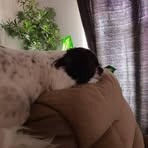 Tracey Richards - Facebook