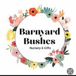 Tracey Riddle - @traceyriddlebarn - Instagram