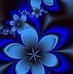 Tracey Rivers - Facebook