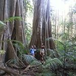 Tracey Rivers - @tracey.rivers.98 - Instagram