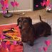 Tracey Rosenthal - Facebook