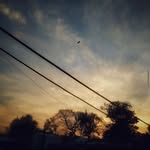 TRACY ROSENTHAL - @rosenthal2707 - Instagram