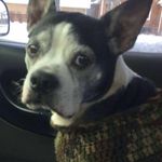 Tracy Rosenthal-Stark - @tracystark73 - Instagram