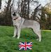 Tracey Rowley - Facebook