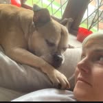 Tracey Rowley - @traceyrowley - Instagram