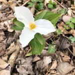 Tracey Rowley - @tracey.rowley26 - Instagram