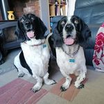 Tracey Rust - @traceyrusty - Instagram