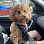 Tracey Sadler - @tesad29 - Instagram