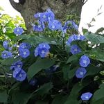 Tracey Sampson - @tracey.sampson18 - Instagram