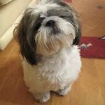 Tracey Sampson - @traceymsampson - Instagram