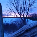 Tracey Saunders - @whiterocksfarm - Instagram