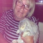 Tracey Saunders - @traceysaunders7811 - Instagram