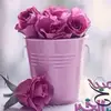 TraceySchaefer - @traceyschaeferafnutx - TikTok
