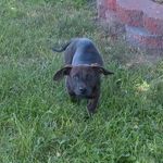 Tracy Schaefer - @tracy.schaefer.7 - Instagram