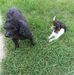 Tracy Schaefer - Facebook