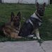Tracy Schuster - Facebook