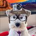 Tracy Schuster - Facebook